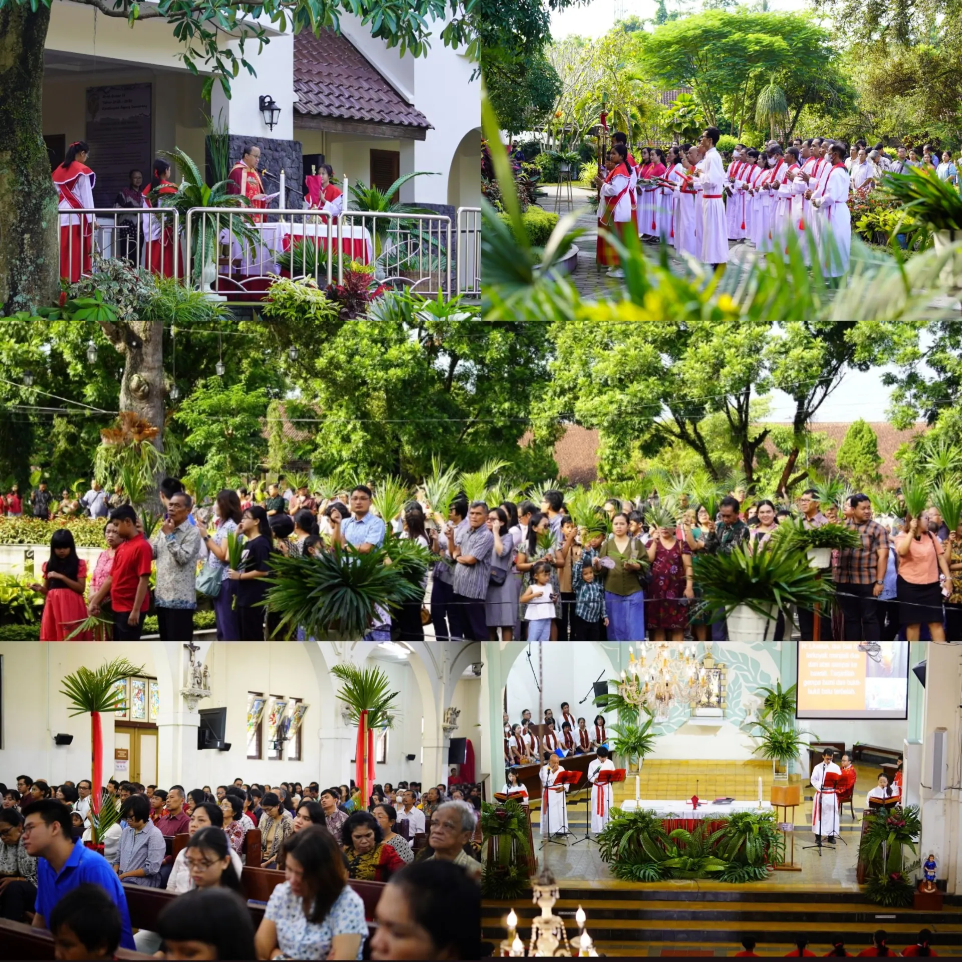 Umat Paroki St. Antonius Padua Muntilan bersama-sama mengawali Pekan Suci melalui perayaan Minggu Palma dengan penuh syukur dan sukacita.